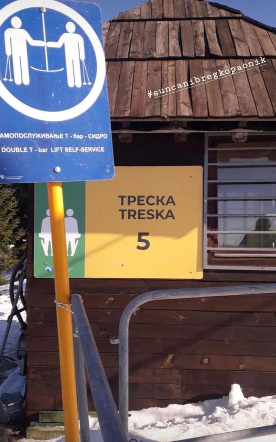 Vila Dizdarevic Копаоник Экстерьер фото